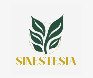 Sinestesia Imports – Piloto